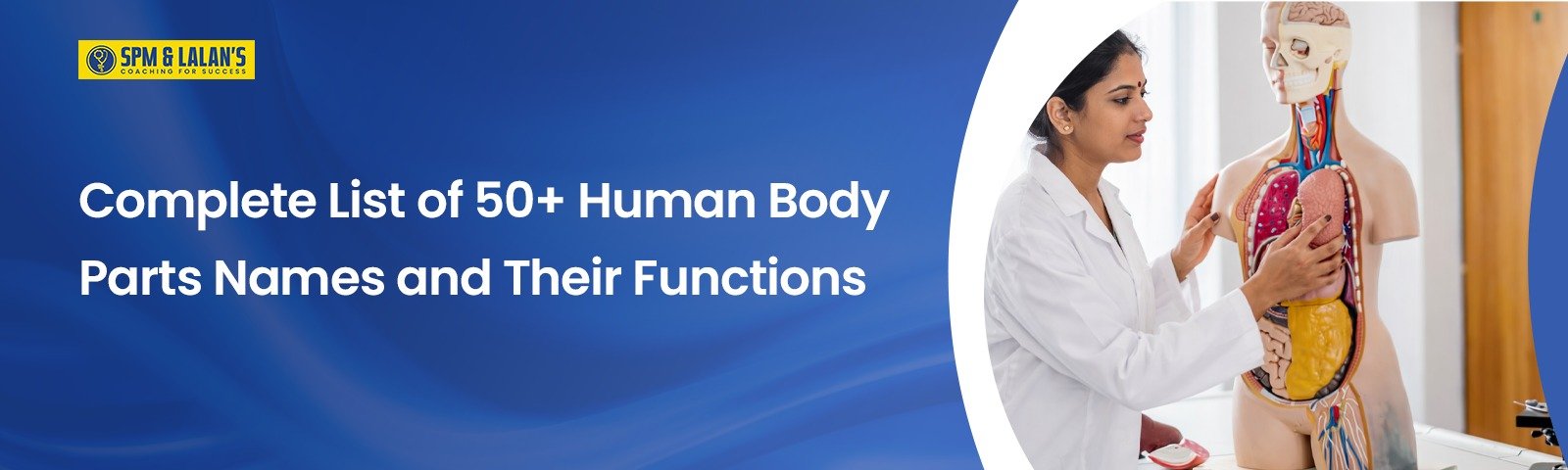 Complete List of 50+ Human Body Parts Names and Their Functions