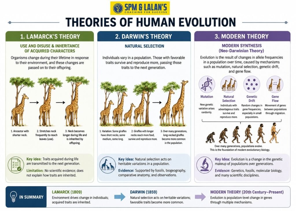 Understanding Evolution 

